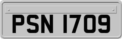 PSN1709