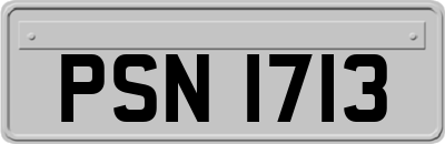 PSN1713