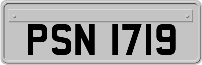 PSN1719