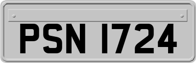 PSN1724