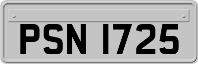 PSN1725