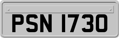 PSN1730