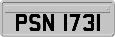 PSN1731