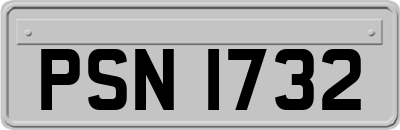 PSN1732
