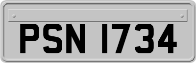 PSN1734