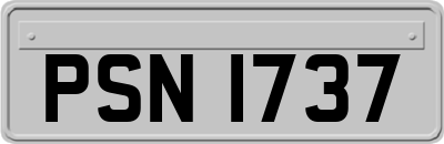 PSN1737