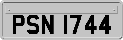 PSN1744