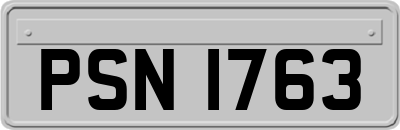 PSN1763
