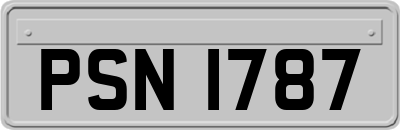 PSN1787