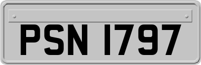 PSN1797