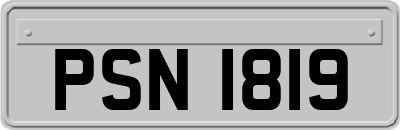 PSN1819
