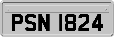 PSN1824