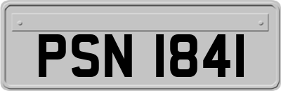 PSN1841