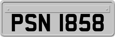 PSN1858