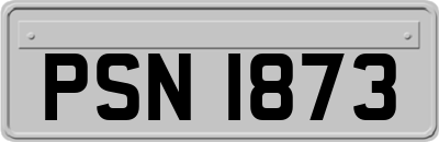 PSN1873