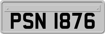 PSN1876