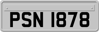 PSN1878