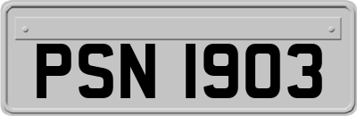PSN1903