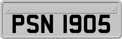 PSN1905
