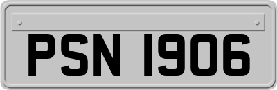 PSN1906