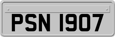 PSN1907
