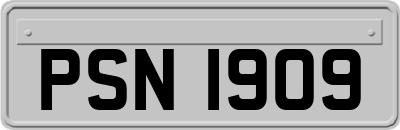 PSN1909