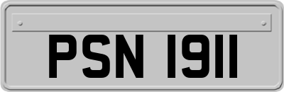 PSN1911