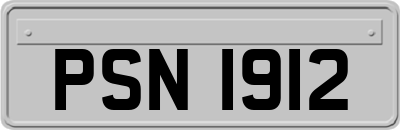 PSN1912