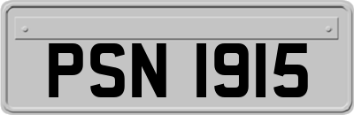 PSN1915