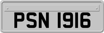 PSN1916