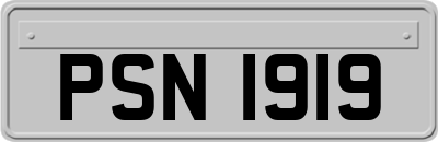 PSN1919
