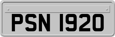 PSN1920
