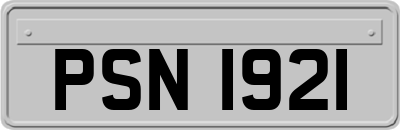 PSN1921