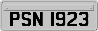 PSN1923