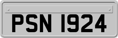 PSN1924