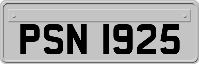 PSN1925