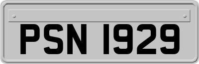 PSN1929