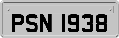 PSN1938
