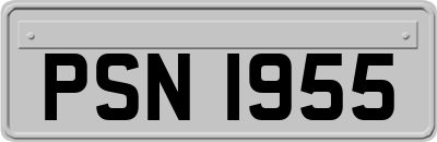 PSN1955
