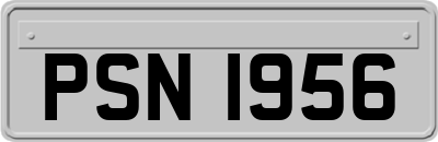 PSN1956