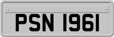 PSN1961