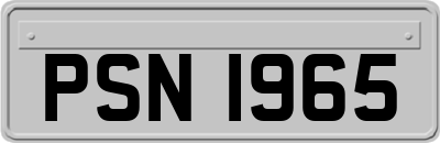 PSN1965