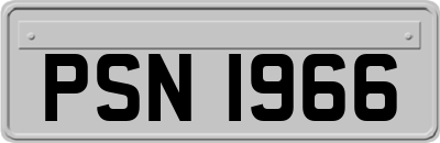 PSN1966