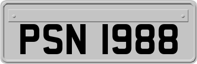 PSN1988