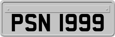 PSN1999