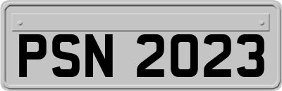 PSN2023
