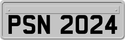 PSN2024