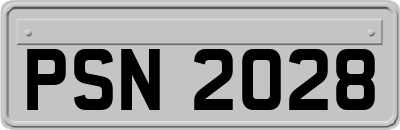 PSN2028