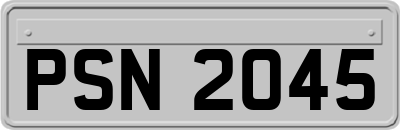 PSN2045