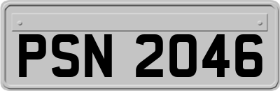 PSN2046